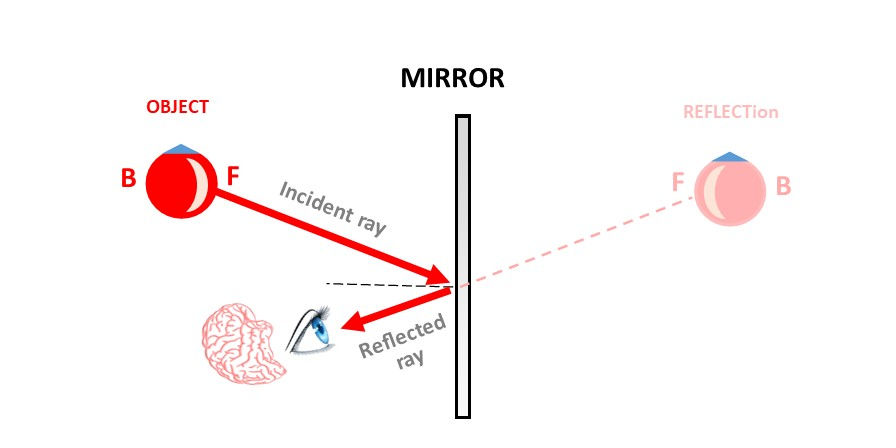 Diagram showing a light ray reflecting off a mirror into an observer’s eye, with a virtual image appearing behind the mirror.