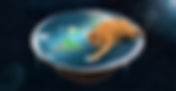 Gravity on a flat Earth: would cats push everything off?