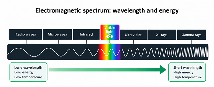 Diagram of the electromagnetic spectrum showing radio waves, microwaves, infrared, visible light, ultraviolet, X-rays and gamma rays. Wavelength decreases and energy increases from left to right.