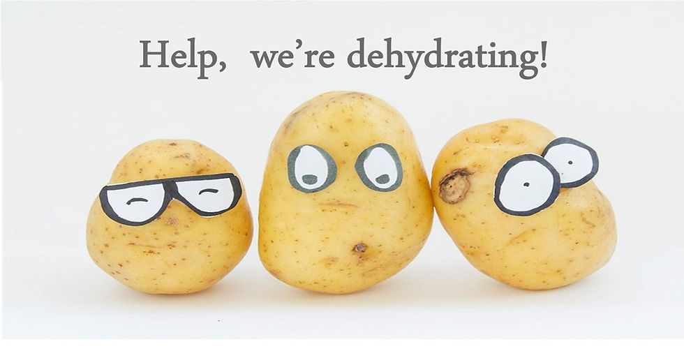 Fig 1. Potatoes contain about 80% water on average.