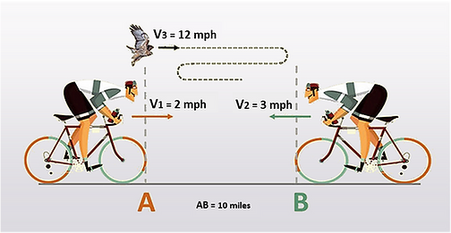 Fig. 1. Two cyclists approaching each other with a bird flying between them..