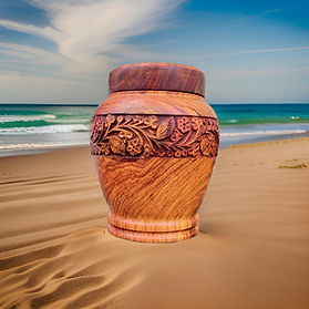 Copy of IMG_8364.PNG