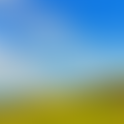 Điểm đến đầu tiên: Darwin có dễ xin việc không?