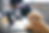 オンライン講座【病気になりにくい生活2~低ストレスな生活とは~】7/19