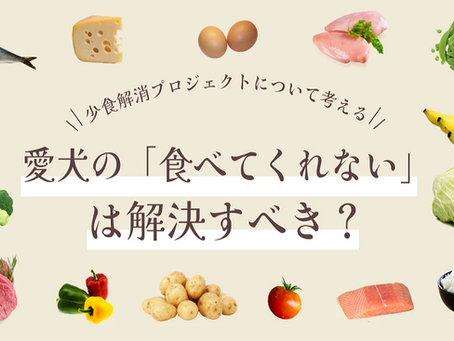 ワンコの「少食解消プロジェクト」について思うこと