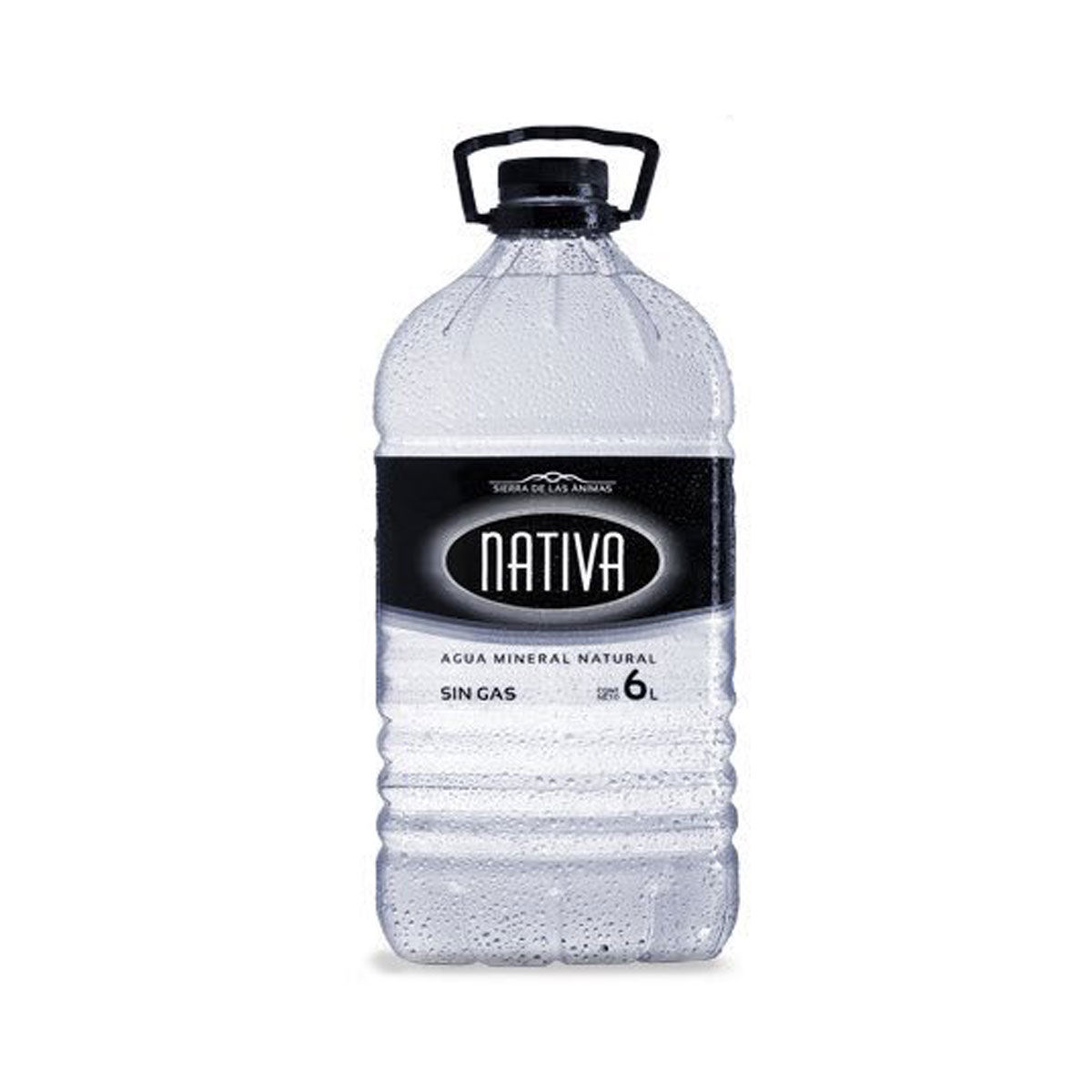 AGUA NATIVA S/GAS 6 Lt.