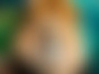 Economize no Imposto de Renda com sua Certificação Ambiental