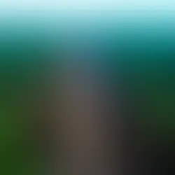 Desmatamento na Amazônia