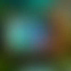 Retrospectiva Ambiental 2025 no Brasil