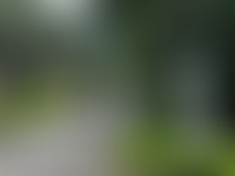 令和5年度南方諸地域戦没者追悼式