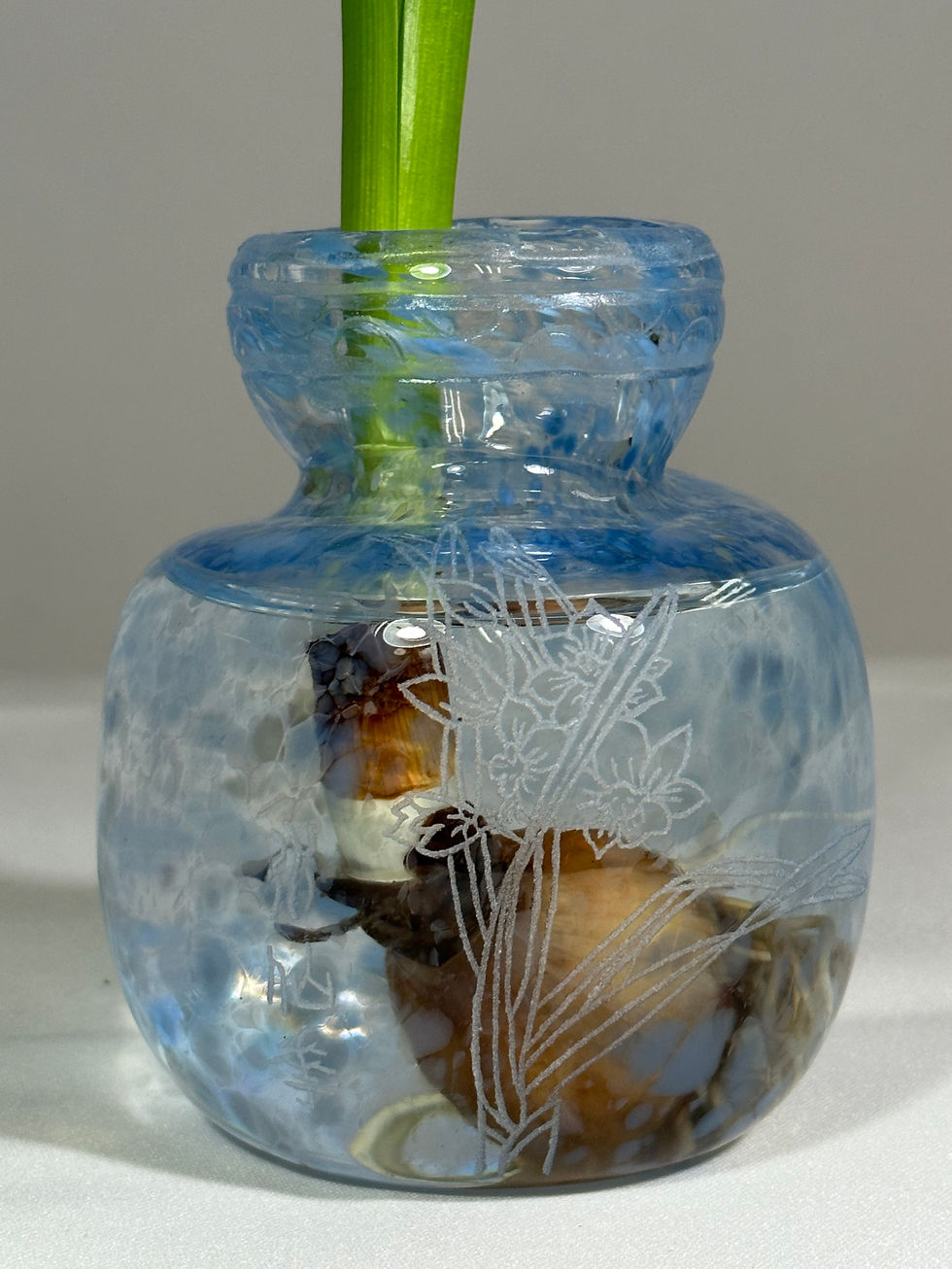 Narcissus (Calendula Silver Platform)
