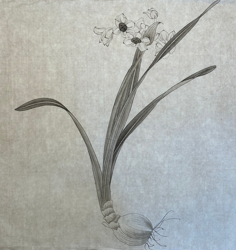 Title: Daffodils (ink)