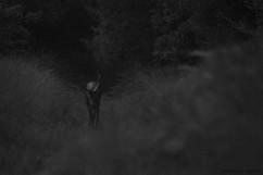 0T8A9317.jpg