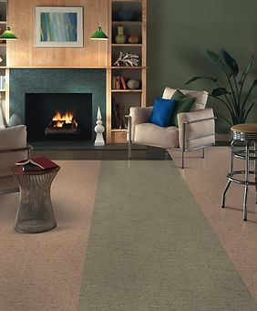 two color linoleum floors.jpeg
