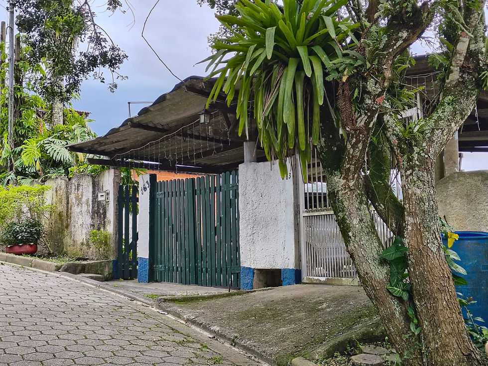 WhatsApp Image 2026-03-18 at 15.17.08.jpeg