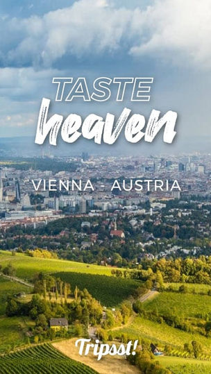 Article: Enjoy godly plates on Kahlenberg’s summit at Skyline Lounge Restaurant (TRIPSST)