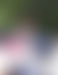 Article: Umaístas entre votar y abstenerse de cara al 10D (PLUMA)