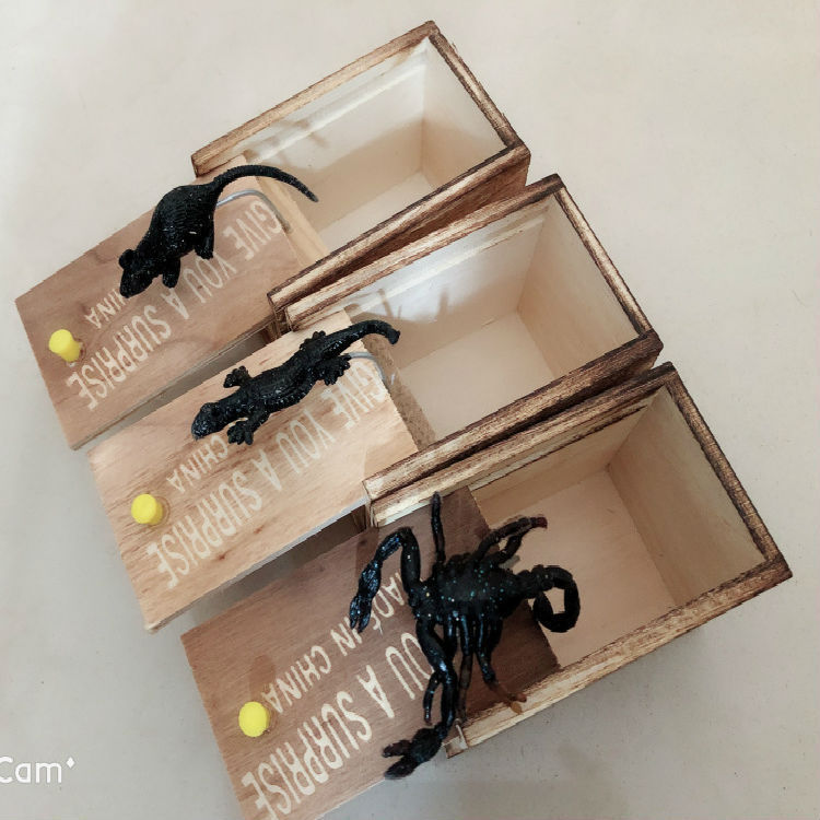 Miniaturbild: Wooden Prank Toy Box