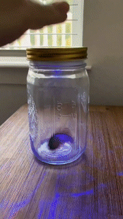 Thumbnail: LED Animated Butterfly Jar