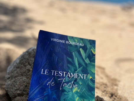 un roman sur une plage