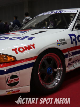 Reebok Skyline R32