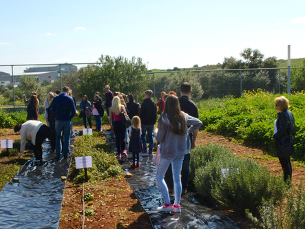 School's botanical gardens visit