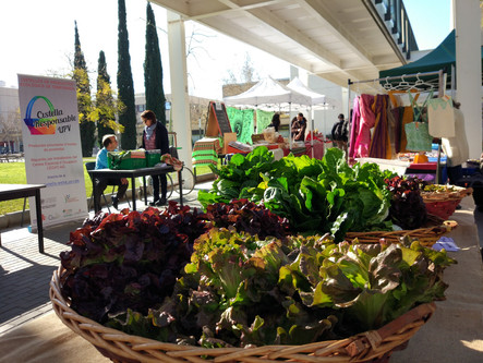 Market at the UPV