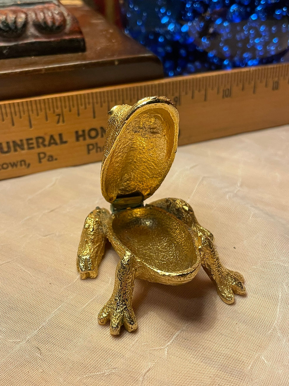  vintage frog pill treasure box