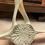 Thumbnail: dolphine vertebrae 