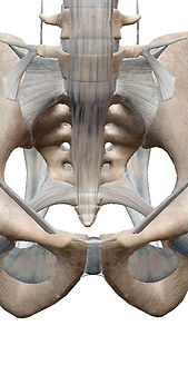 S__44834818.jpg