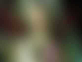 Hoje é celebrada Santa Inês, padroeira das jovens, das noivas e da pureza