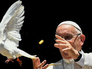 Papa: a boa política está ao serviço da paz