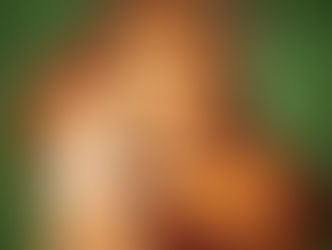 10 dados sobre Santo Antônio de Pádua que talvez não conhecia