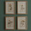 Thumbnail: Set of 4 wild flower specimens