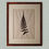 Thumbnail: Set of 6 British Ferns
