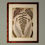Thumbnail: Set of 6 19th Century British Ferns