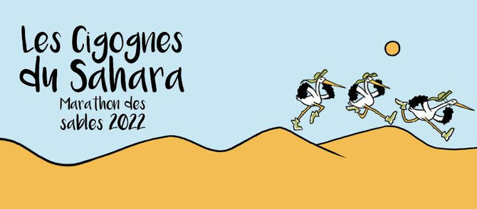 Les cigognes du Sahara !