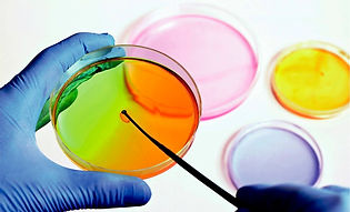 microbiologico-800x500.jpg