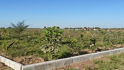 Picture5.jpg