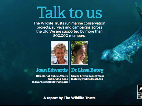 Living Seas: Do Not Collaborate With Seismic Testing for Sub-Sea Nuclear Dump Plan