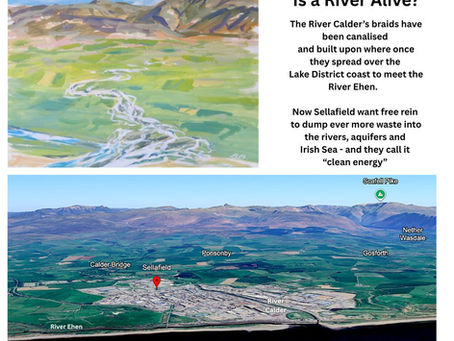 Please Help Us Protect the “Incredibly Special” Rivers Ehen and Calder from Contamination