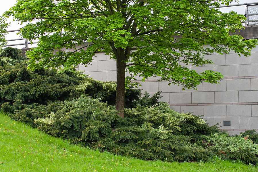 CRW_5083.jpg