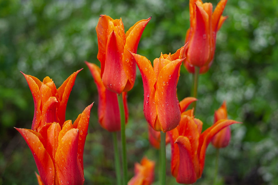 CRW_5112.jpg
