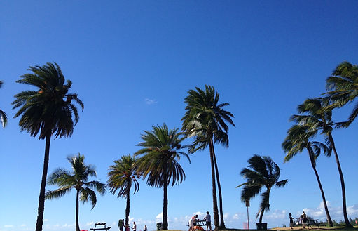 Aloha MC No1 サービス