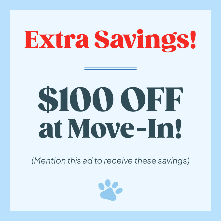 Colorful Paper Loops