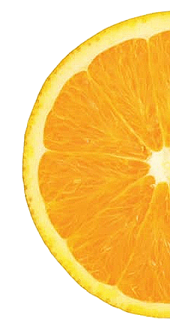 orange-slice.gif