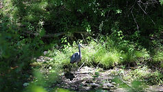 4W9A5263.jpg