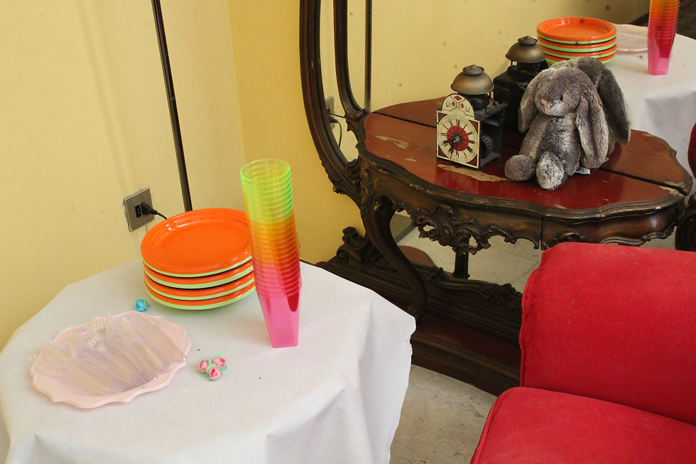 festa-a-tema-alice-wonderland