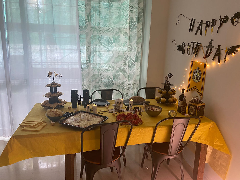 festa-harry-potter