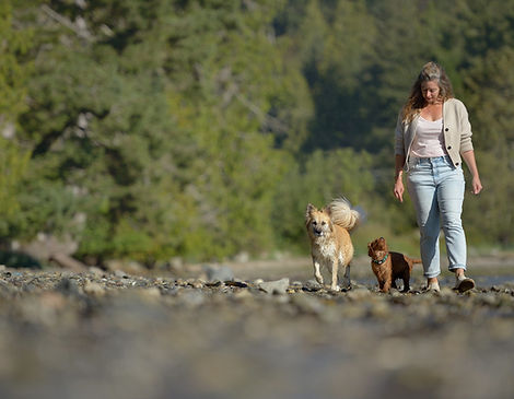 jessica-dogs-shoreline